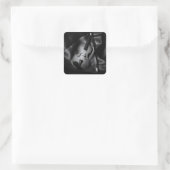 Stilleven zwart-wit afbeelding van een viool vierkante sticker (Tas)