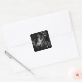 Stilleven zwart-wit afbeelding van een viool vierkante sticker (Envelop)