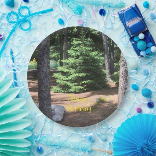 Stillheid in het bos papieren bordje (Feest)