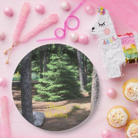 Stillheid in het bos papieren bordje (Feest)