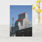 "Stillwater Sawmill"-vogelkaart Kaart (Gele Bloem)