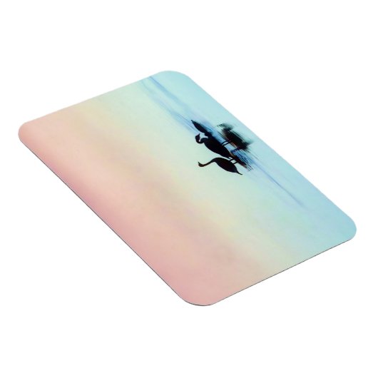 Stilstaande magneet (Rechterzijde)