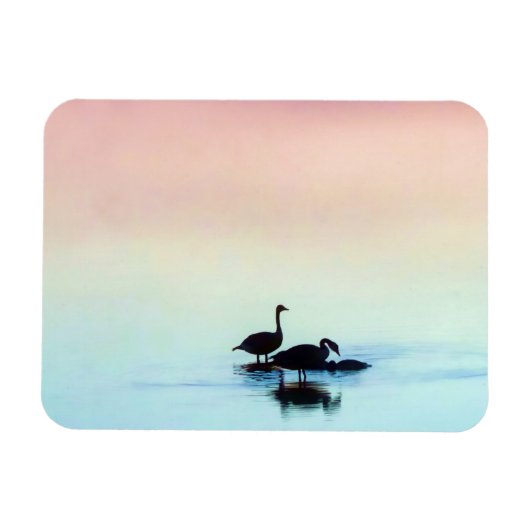 Stilstaande magneet (Horizontaal)