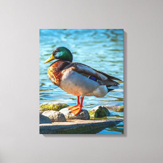 Stilte aan de kust canvas afdruk (Voorkant)