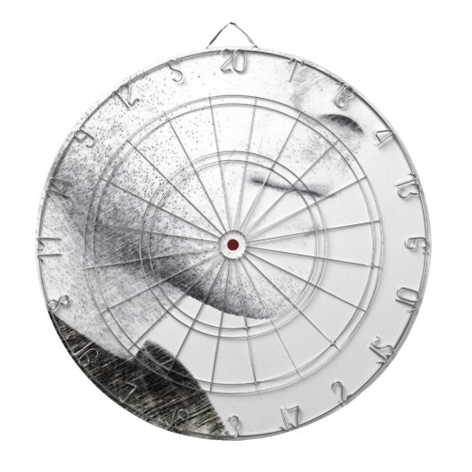 Stilte Dartbord (Voorkant)