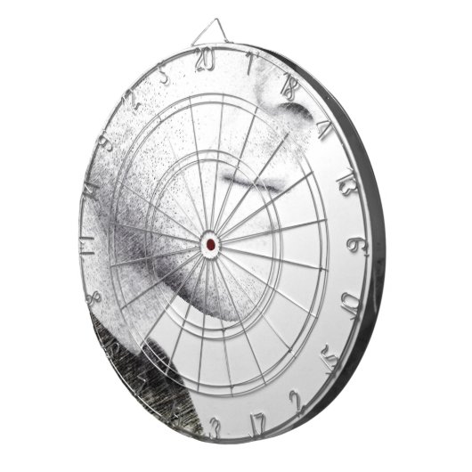 Stilte Dartbord (Voorkant Rechts)