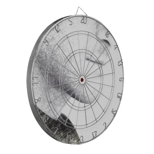 Stilte Dartbord (Voorkant Links)