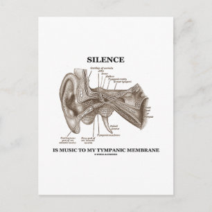 Stilte is muziek op mijn trommelvlies briefkaart