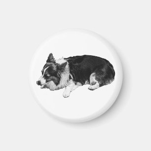 stilte kamer warmte, corgi magneet