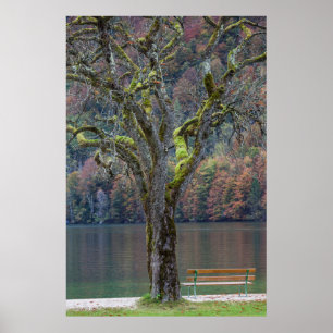 stilte langs een meer, Duitsland Poster
