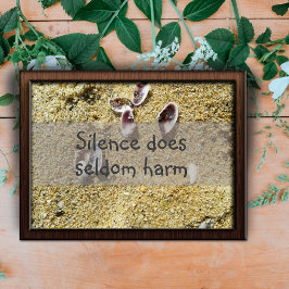 Stilte schaadt zelden de wijsheid van het gezegde  poster