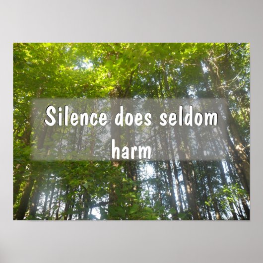 Stilte schaadt zelden het Inspirerend poster (Voorkant)