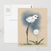 Stilted Snowy Plover Briefkaart (Voorkant / Achterkant)