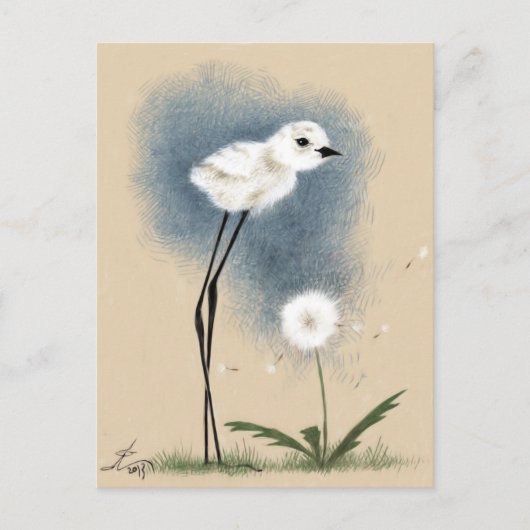 Stilted Snowy Plover Briefkaart (Voorkant)
