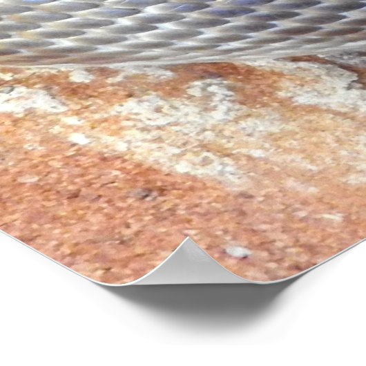 Stimson's Python Poster (Hoek)