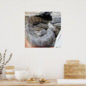 Stimson's Python Poster (Keuken)