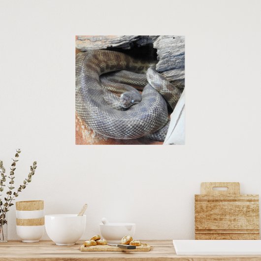 Stimson's Python Poster (Keuken)