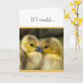 Stimuleren of goed knuffelend deucklings halen kaart (Gele Bloem)