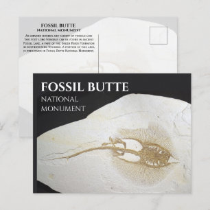 Sting Ray Fossil, Fossil Butte Nationaal Monument Briefkaart
