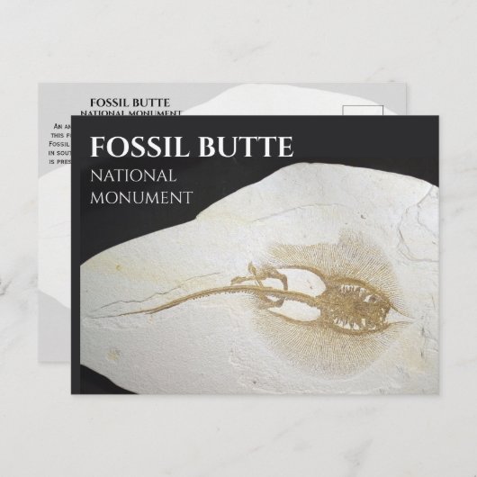 Sting Ray Fossil, Fossil Butte Nationaal Monument Briefkaart (Voorkant / Achterkant)