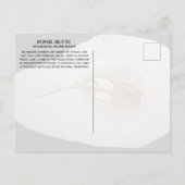 Sting Ray Fossil, Fossil Butte Nationaal Monument Briefkaart (Achterkant)