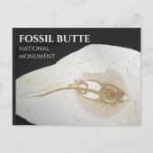 Sting Ray Fossil, Fossil Butte Nationaal Monument Briefkaart (Voorkant)
