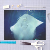 Sting-Ray Gift-papier voor restanten spelen Tissuepapier (Craft)