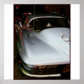 Sting Ray Poster (Voorkant)