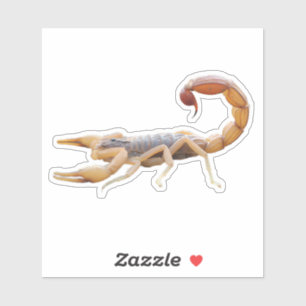 Stingend Scorpion Sticker