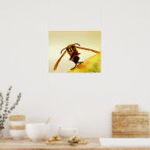 Stinger 12 poster (Keuken)