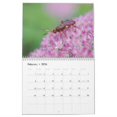 Stingers. Een kalender van bijen en wasspen (Feb 2026)