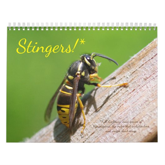 Stingers. Een kalender van bijen en wasspen (Hoes)