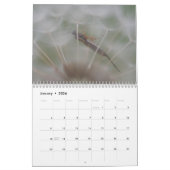 Stingers. Een kalender van bijen en wasspen (Jan 2026)