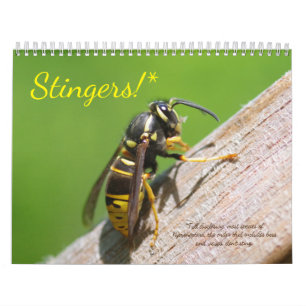 Stingers. Een kalender van bijen en wasspen