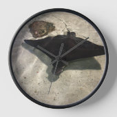 Stingray (Voorkant)