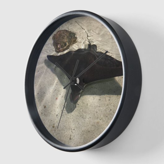 Stingray (Hoek)
