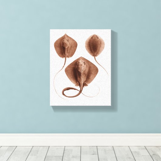 Stingray #1 gewikkeld canvas kunst aan de muur (Insitu (Houten vloer))