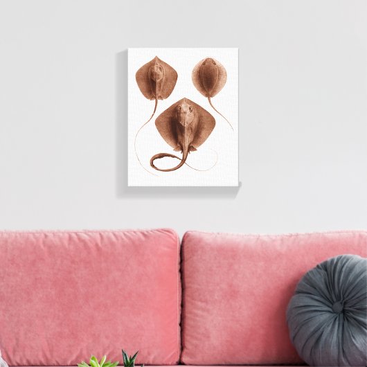 Stingray #1 gewikkeld canvas kunst aan de muur (Insitu (Woonkamer))