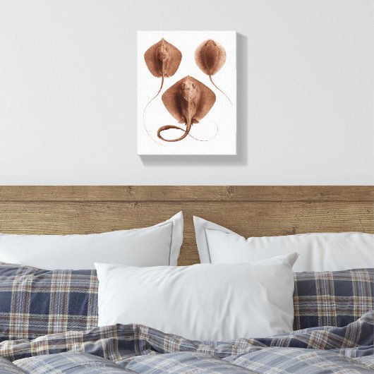 Stingray #1 gewikkeld canvas kunst aan de muur (Insitu (Slaapkamer))