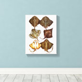 Stingray #3 gewikkeld Canvas Art Afdruk (Insitu (Houten vloer))