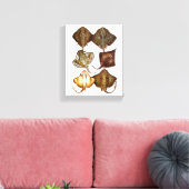 Stingray #3 gewikkeld Canvas Art Afdruk (Insitu (Woonkamer))