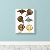 Stingray #4 Verpakt Canvas Muur Decor Afdruk (Insitu (Houten vloer))