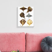 Stingray #4 Verpakt Canvas Muur Decor Afdruk (Insitu (Woonkamer))