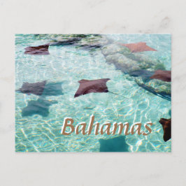 Stingray Briefkaart