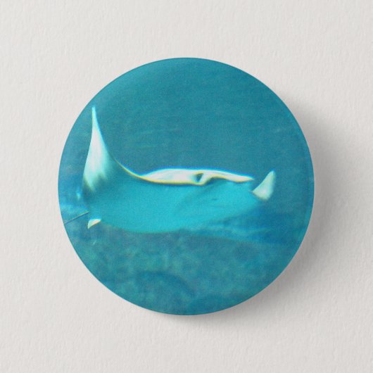 Stingray Button (Voorkant)