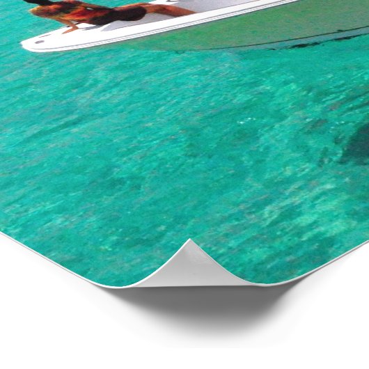 Stingray City Grand Cayman Islands Poster (Hoek)