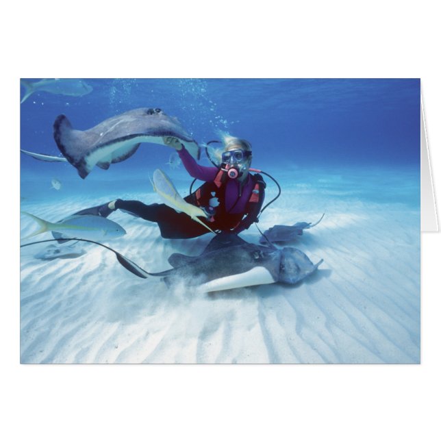 Stingray City, Grand Cayman, Kaaimaneilanden, (Voorkant Horizontaal)