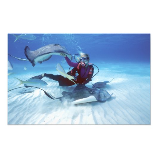 Stingray City, Grand Cayman, Kaaimaneilanden, Foto Afdruk (Voorkant)