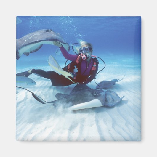 Stingray City, Grand Cayman, Kaaimaneilanden, Magneet (Voorkant)