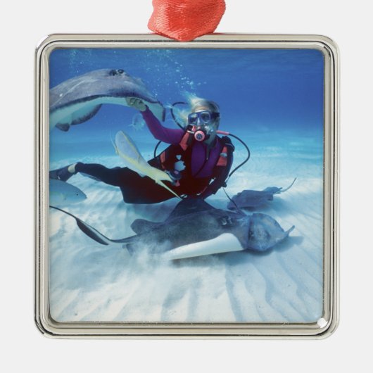 Stingray City, Grand Cayman, Kaaimaneilanden, Metalen Ornament (Voorkant)